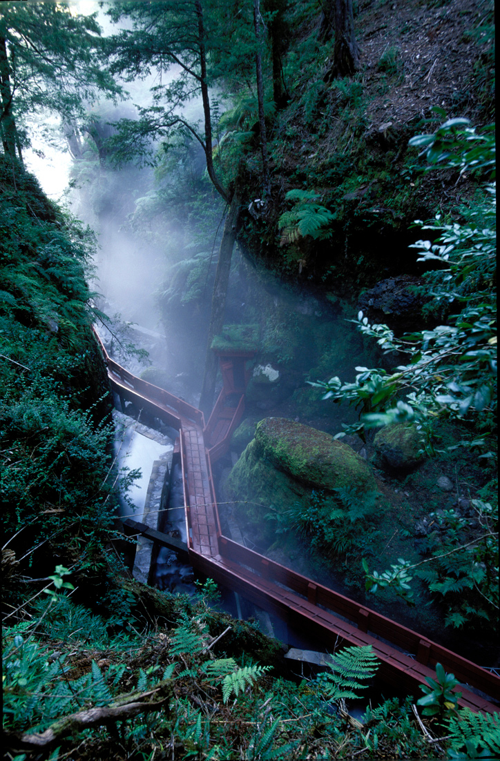 Ein Foto von Guy Wenborne