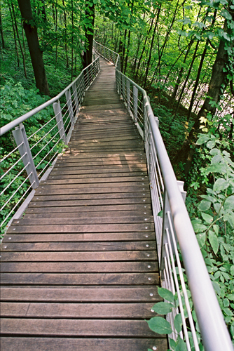 Ein Foto von Tibor Zsitva