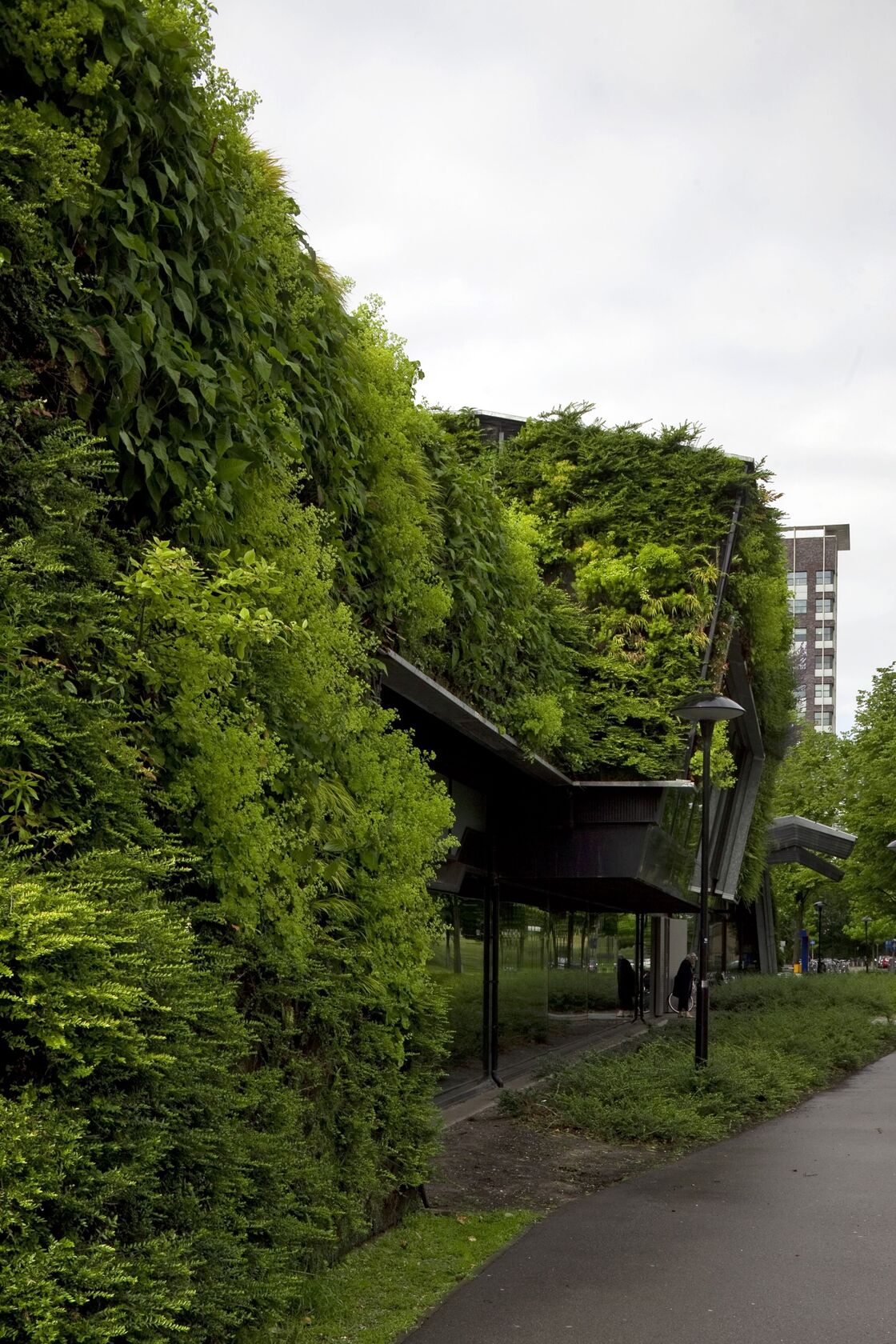 Ein Pressebild von Luuk Kramer