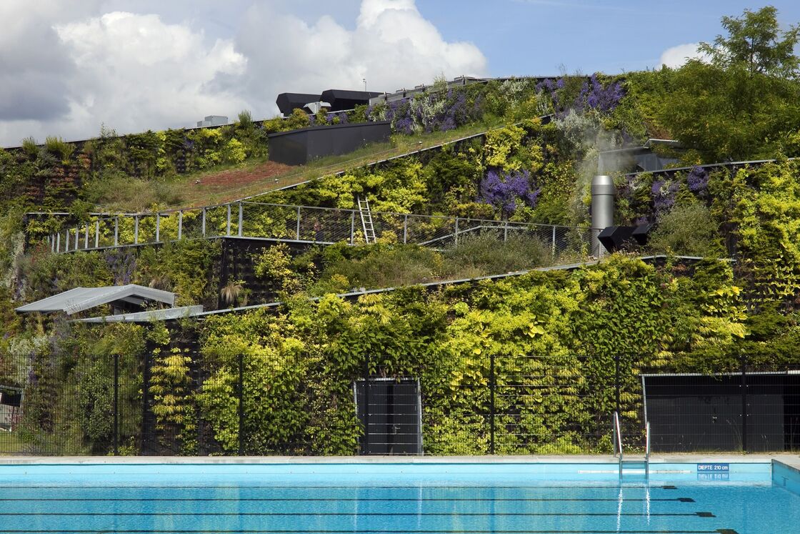 Ein Pressebild von Luuk Kramer