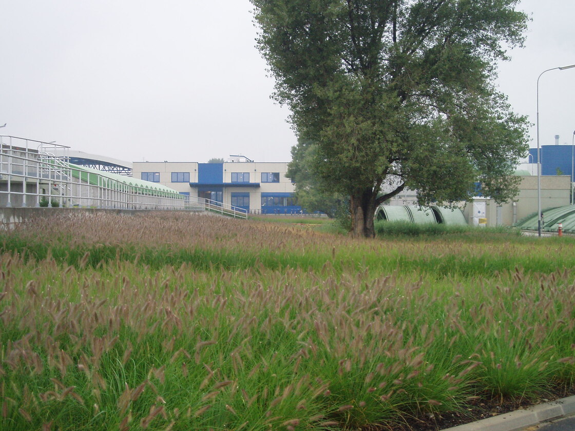 Ein Foto von Land in Sicht