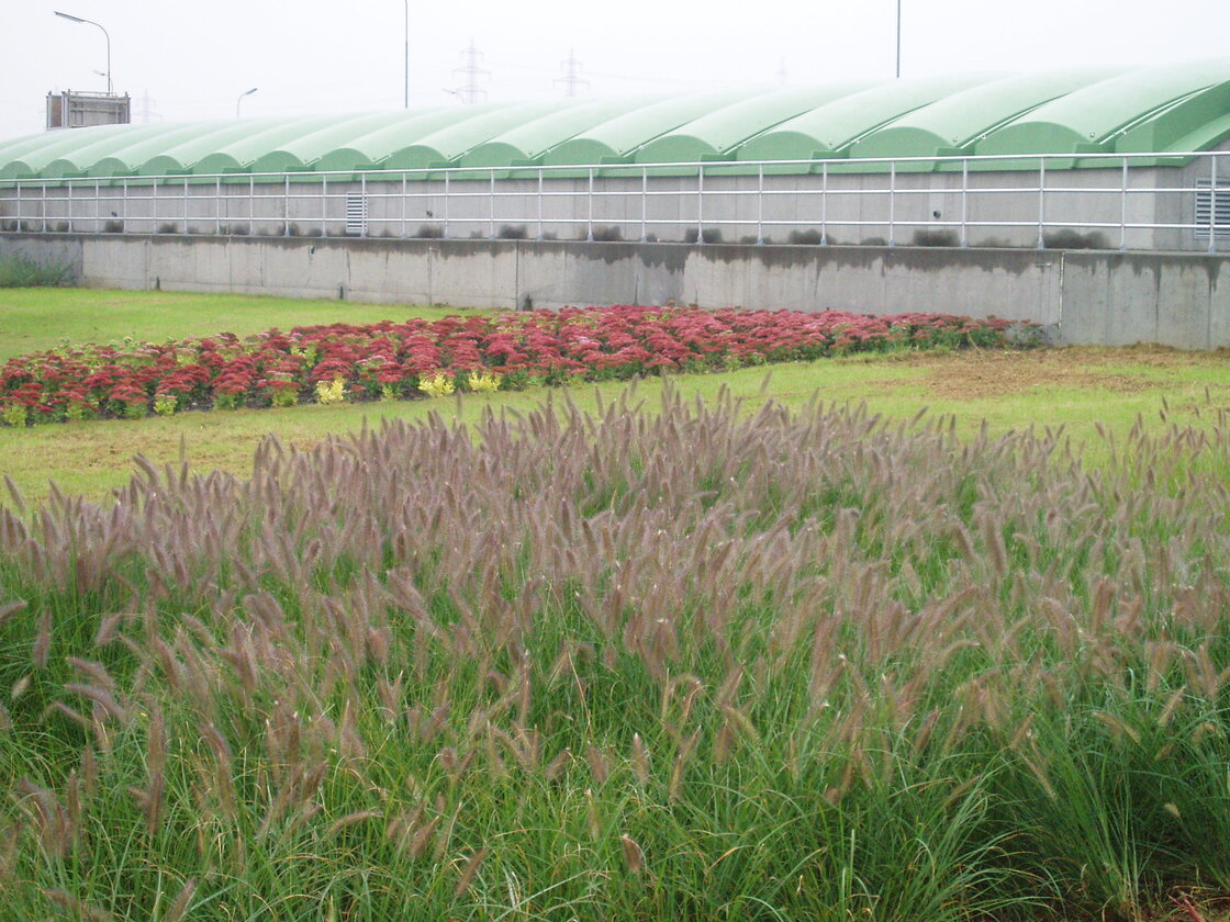 Ein Foto von Land in Sicht