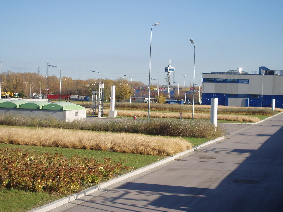 Ein Foto von Land in Sicht