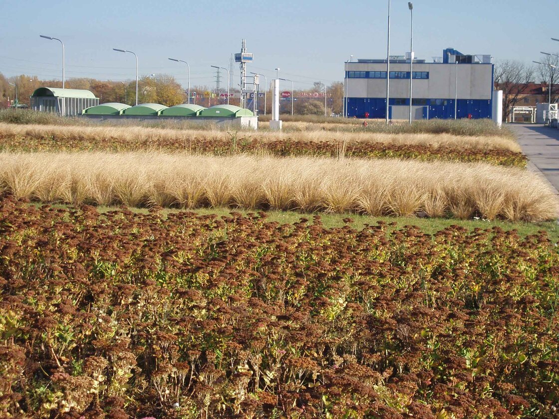 Ein Foto von Land in Sicht