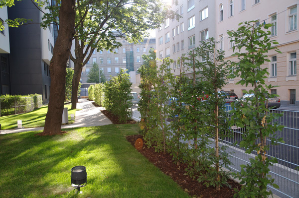 Ein Foto von Knoll - Planung & Beratung