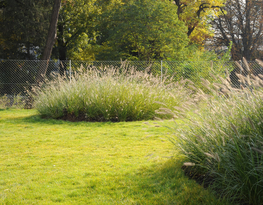 Ein Foto von Gernot Dessovic