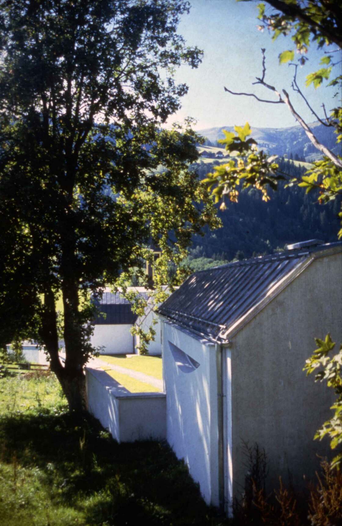 Ein Foto von Margherita Spiluttini