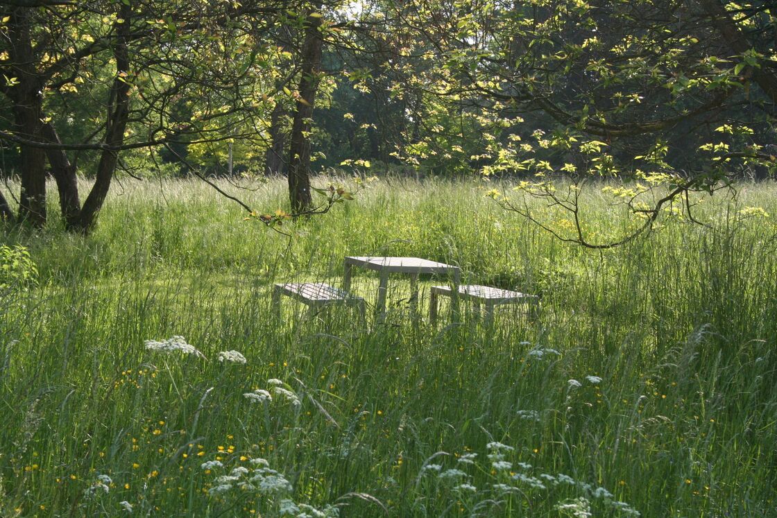 Ein Foto von Land in Sicht