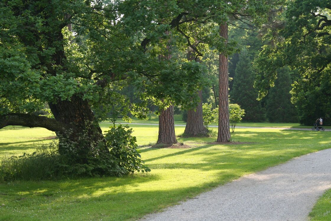 Ein Foto von Land in Sicht