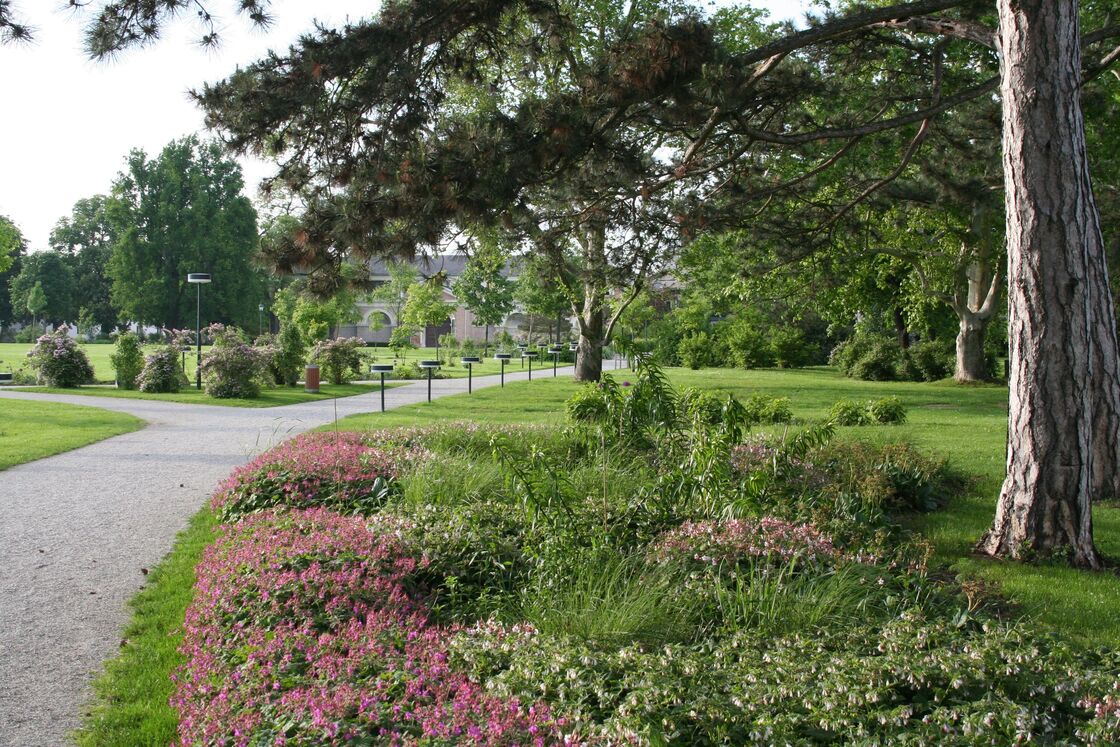 Ein Foto von Land in Sicht