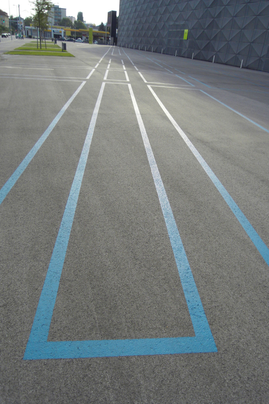 Ein Foto von Land in Sicht