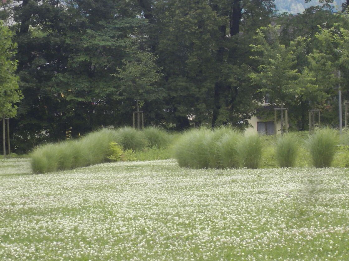 Ein Foto von Land in Sicht