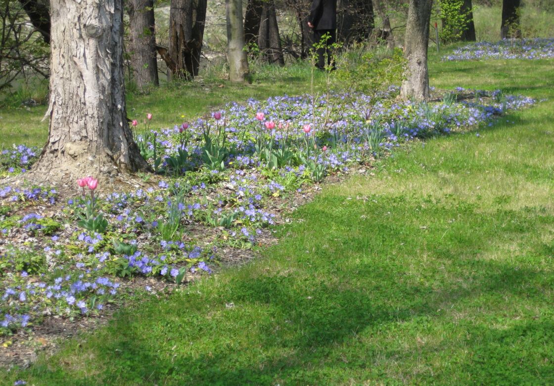 Ein Foto von Land in Sicht