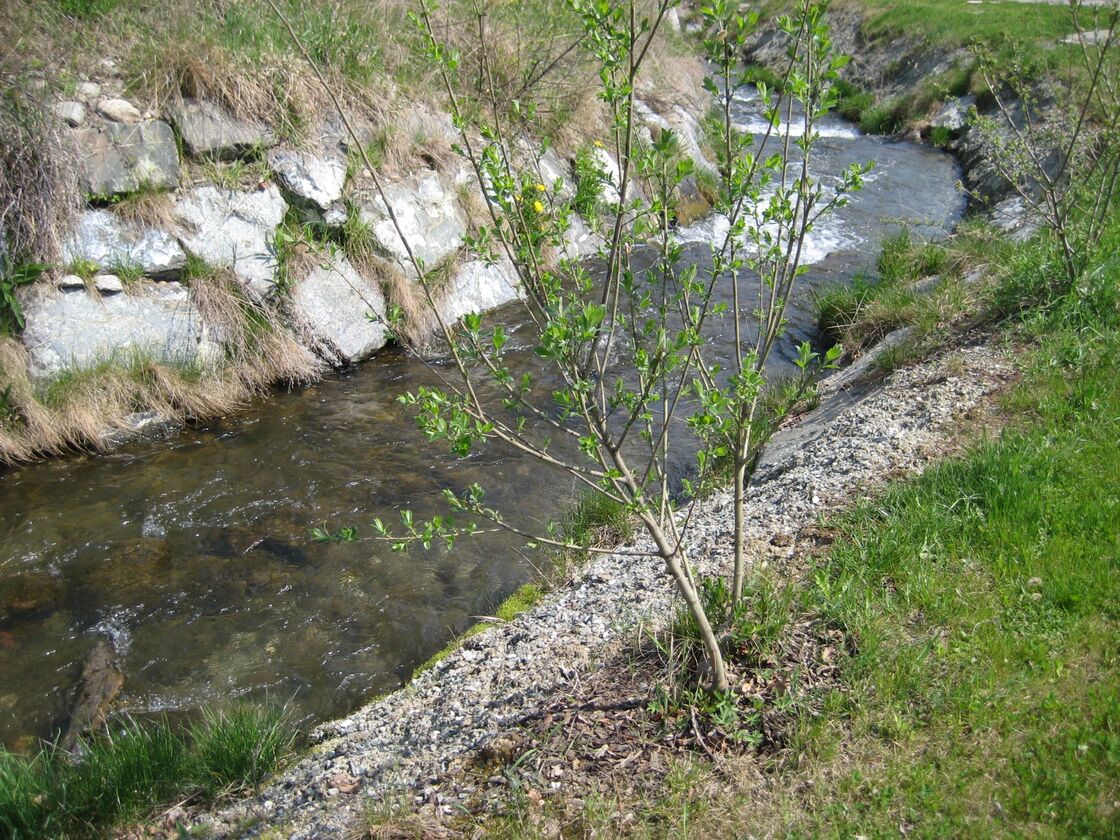 Ein Foto von Land in Sicht