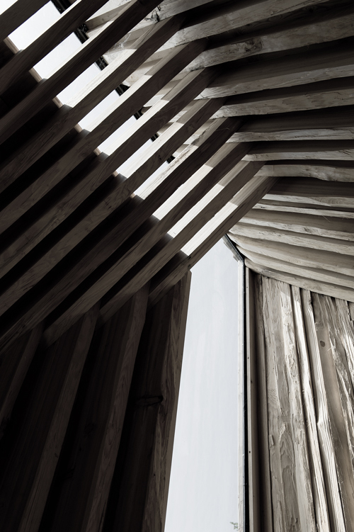 Ein Foto von Dietmar Tollerian