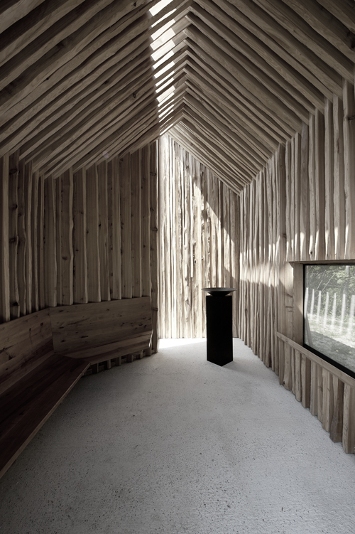 Ein Foto von Dietmar Tollerian