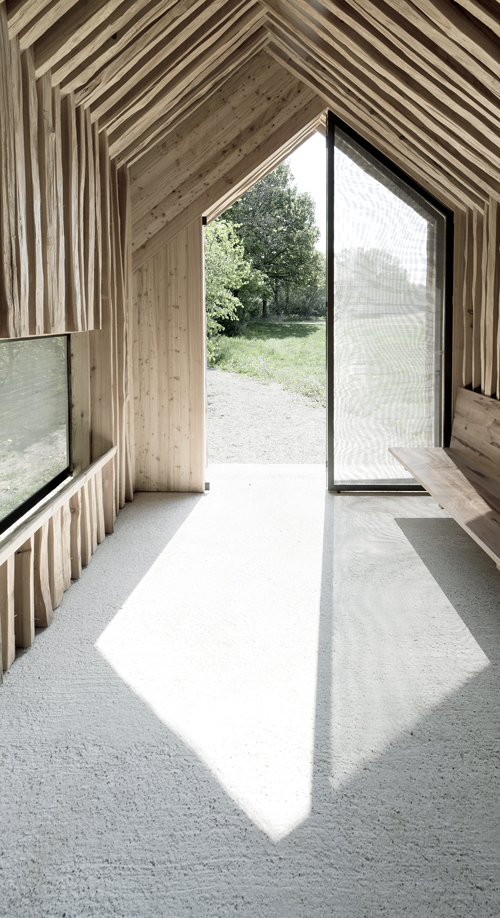 Ein Foto von Dietmar Tollerian