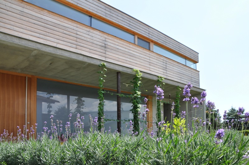 Ein Foto von k_m architektur