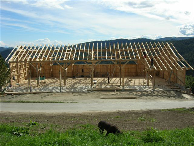 Ein Foto von Herwig Pichlkastner