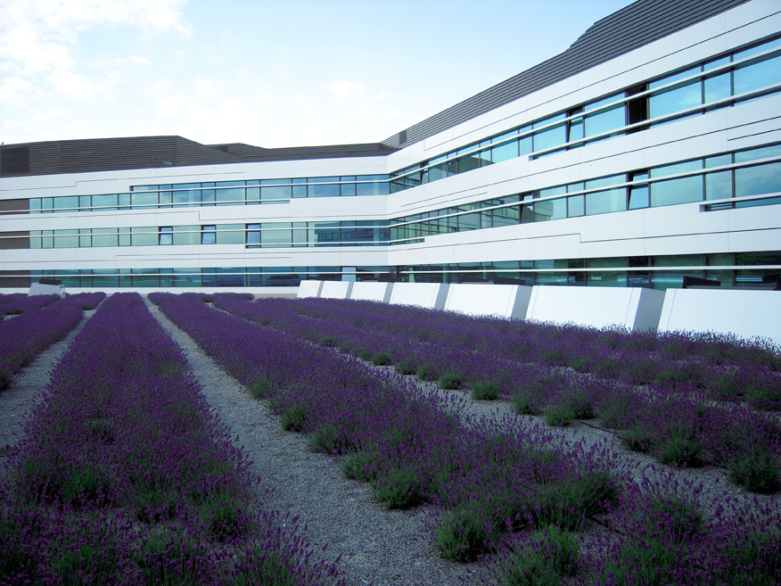 Ein Foto von rajek barosch landschaftsarchitektur