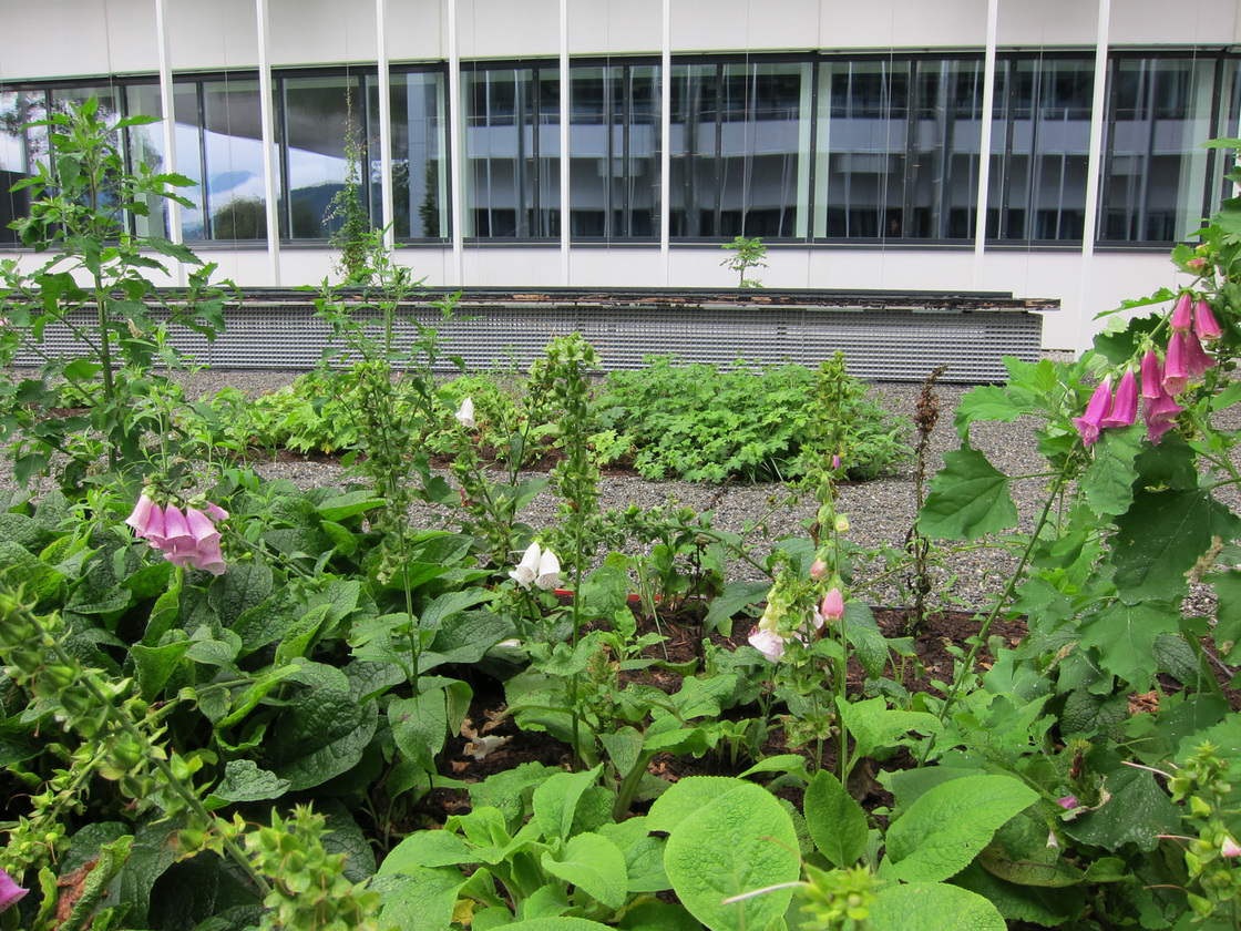 Ein Foto von Monsberger Gartenarchitektur