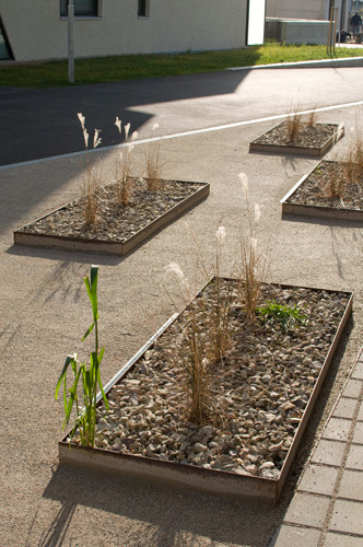 Ein Foto von Martina Frühwirth