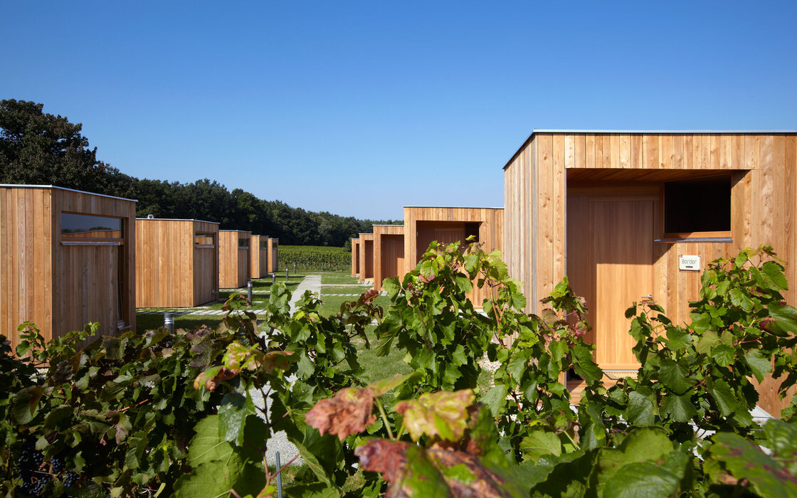 Ein Foto von Lisa Rastl