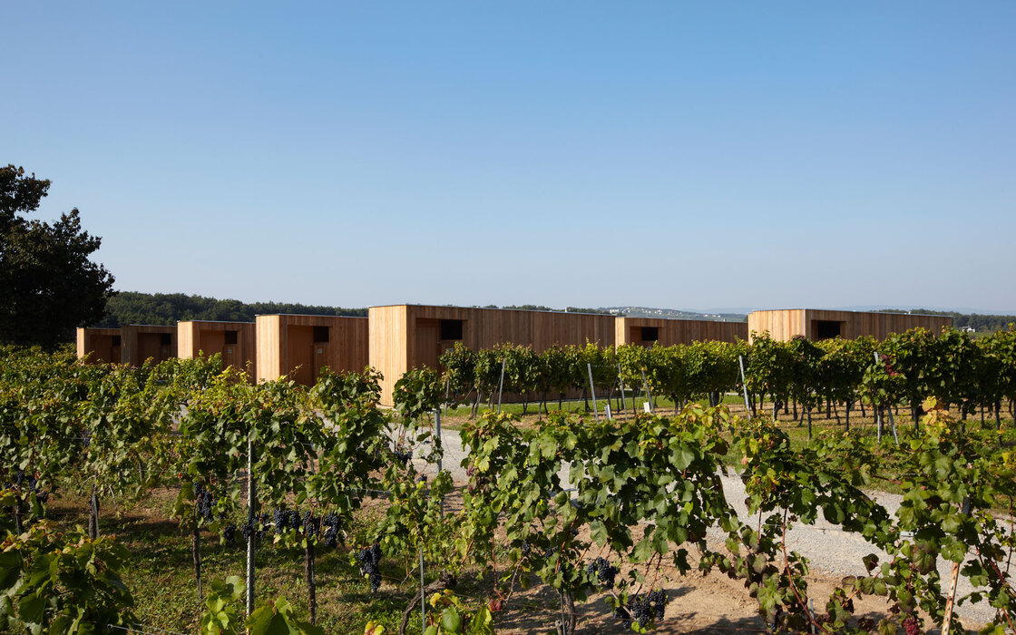 Ein Foto von Lisa Rastl