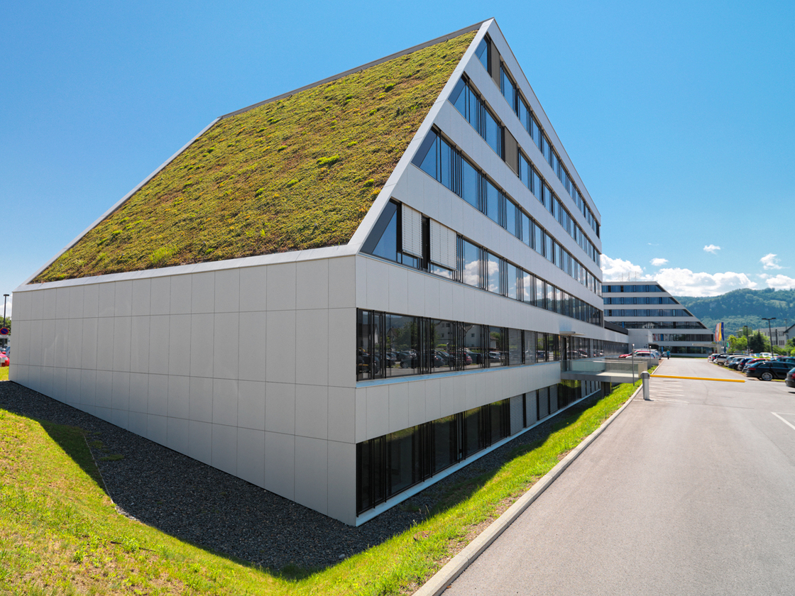 Ein Foto von Martin Steinthaler