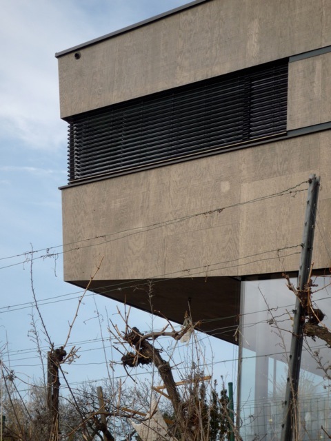 Ein Foto von Martin Ertl