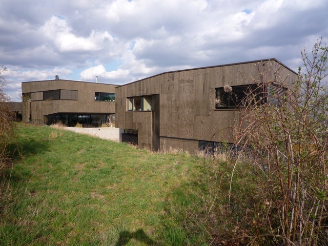 Ein Foto von Martin Ertl