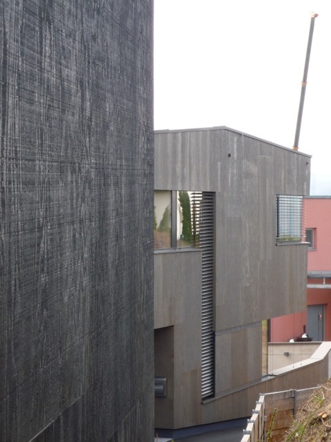 Ein Foto von Martin Ertl