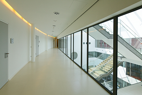 Ein Foto von Rupert Steiner