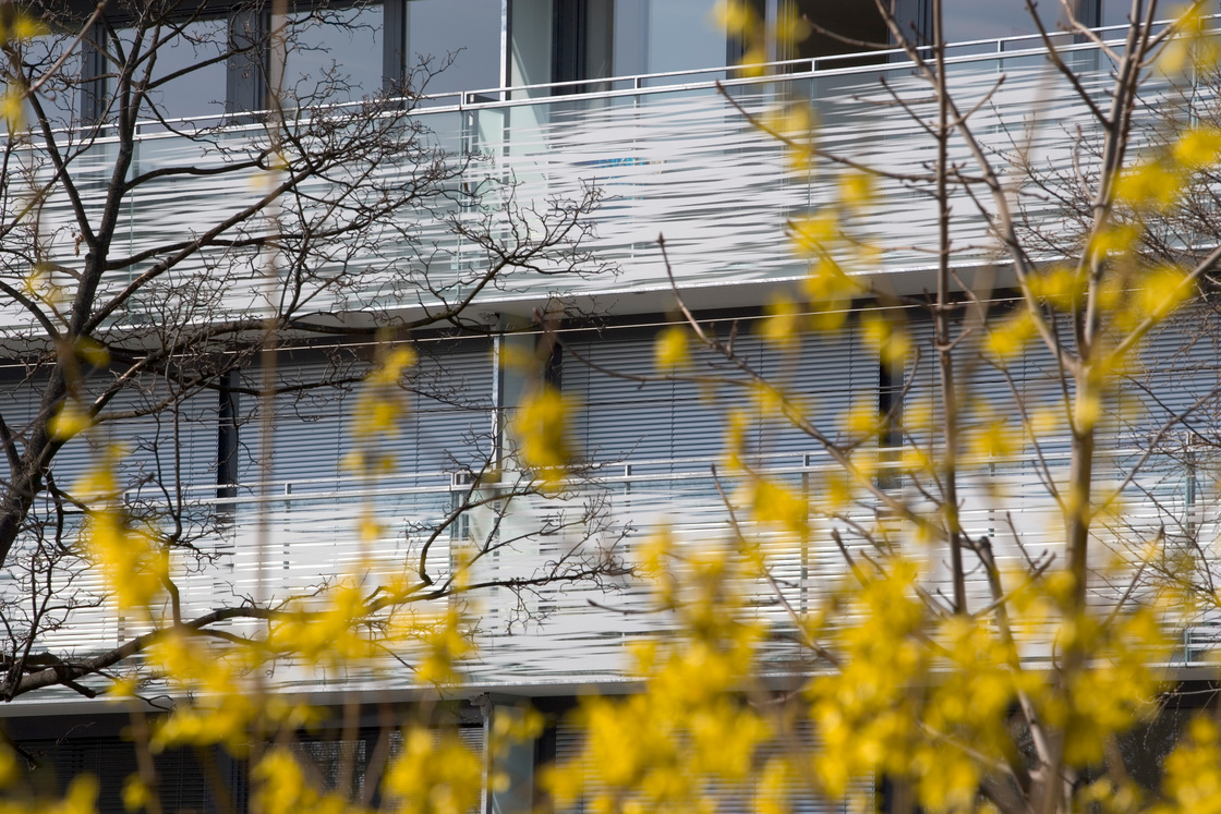 Ein Foto von Michael Goldgruber