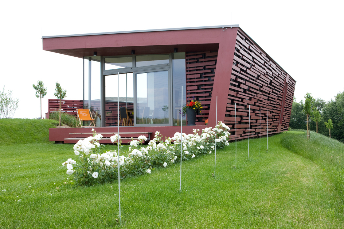 Ein Foto von Patricia Weisskirchner