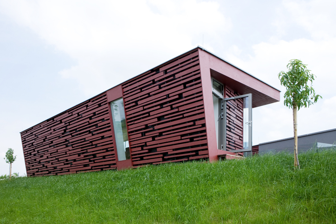 Ein Foto von Patricia Weisskirchner