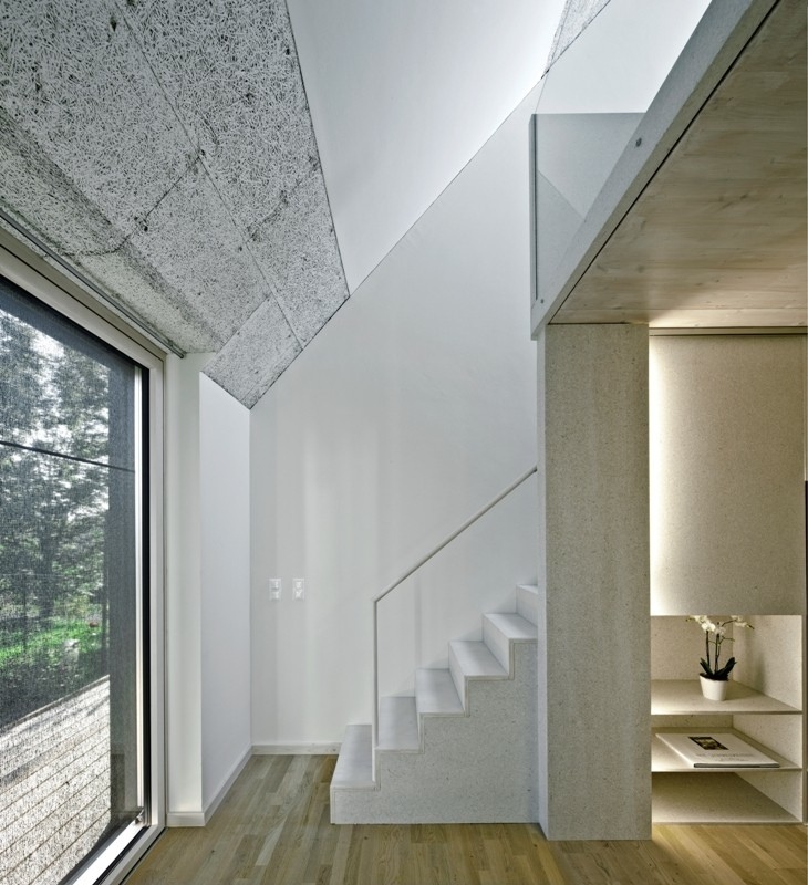 Ein Foto von Martin Duckek