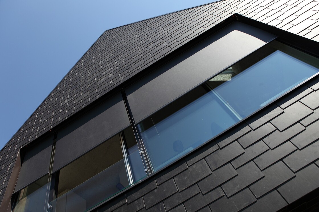 Ein Foto von Barbara Hofmann