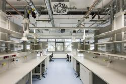 Ein Foto von Ernst Kainerstorfer