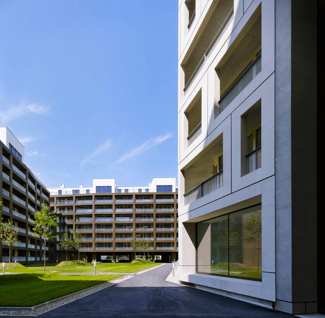 Ein Foto von Lukas Roth