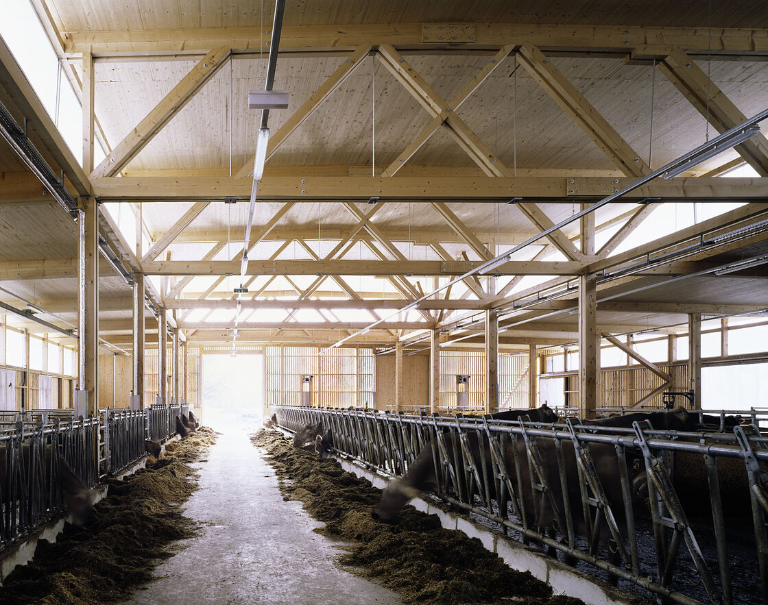 Ein Foto von Bruno Klomfar