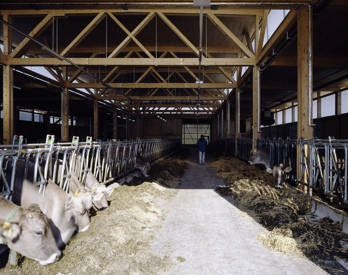 Ein Foto von Bruno Klomfar