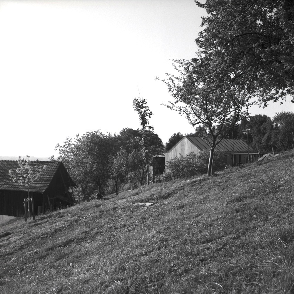 Ein Foto von Ramune Mikulionyte- Schnedl