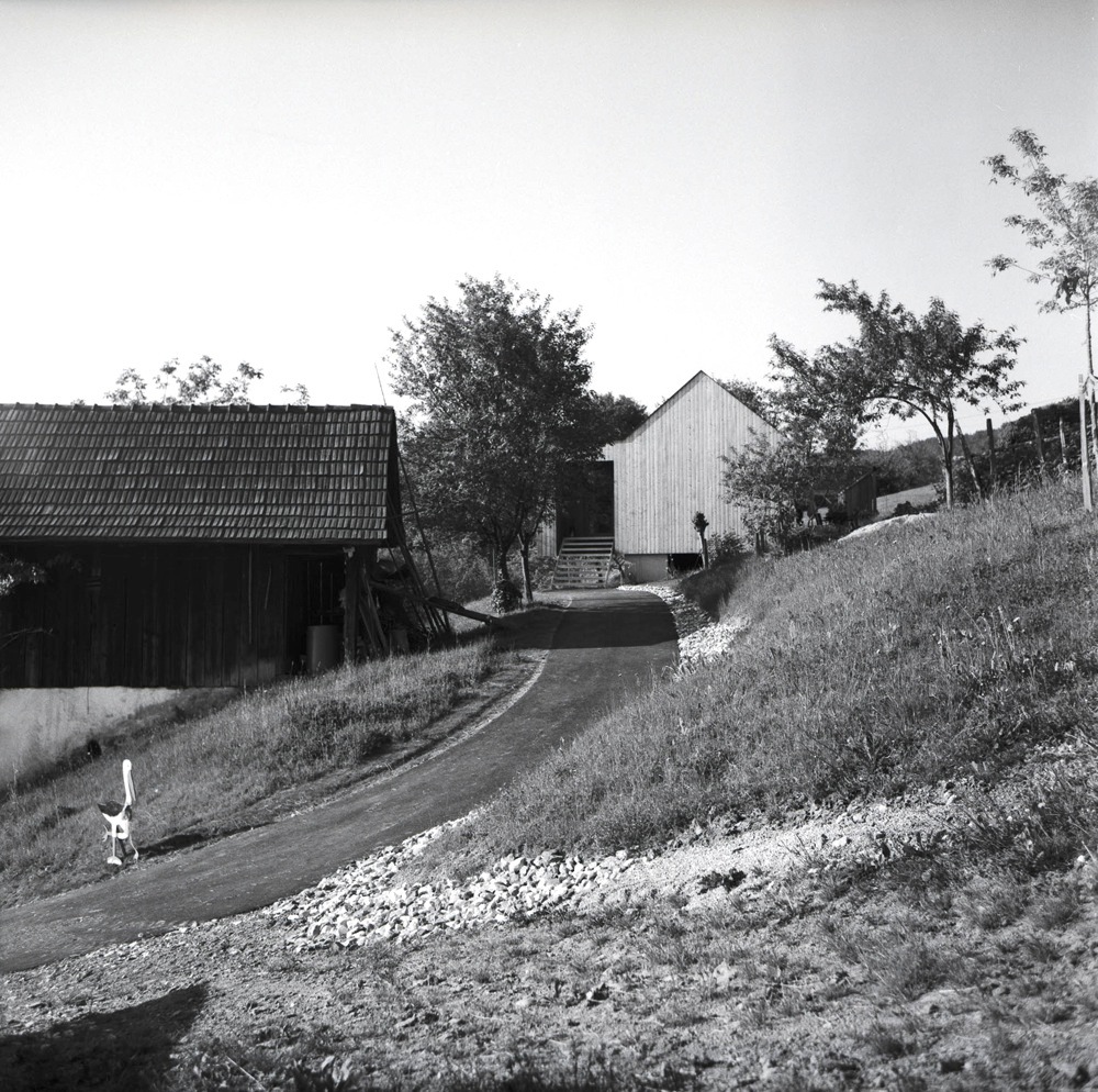 Ein Foto von Ramune Mikulionyte- Schnedl