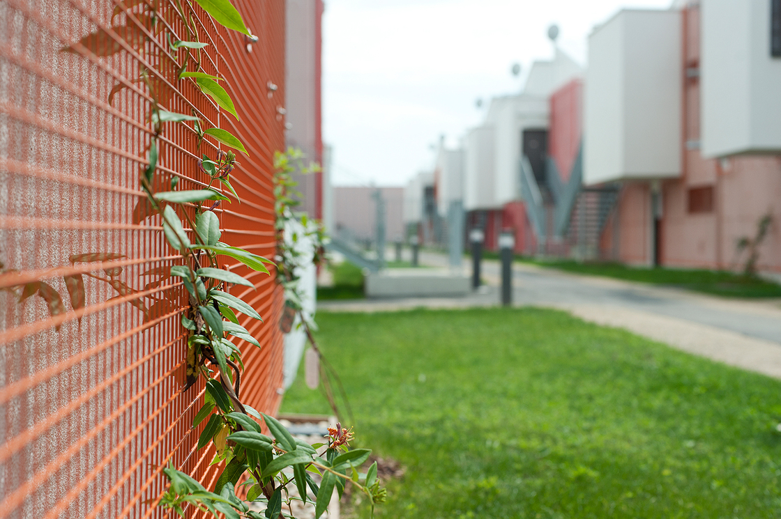 Ein Foto von stefan stefan beer