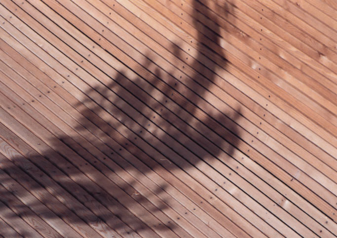 Ein Foto von Barbara Bacher