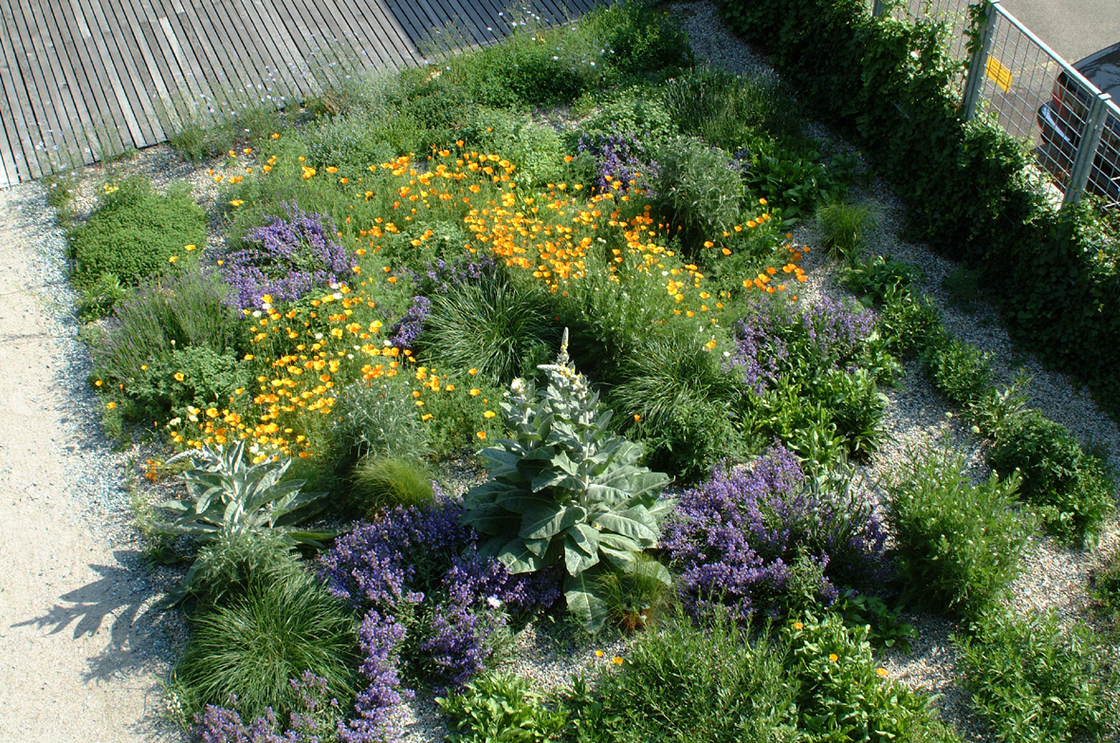 Ein Foto von Christoph Goldmann