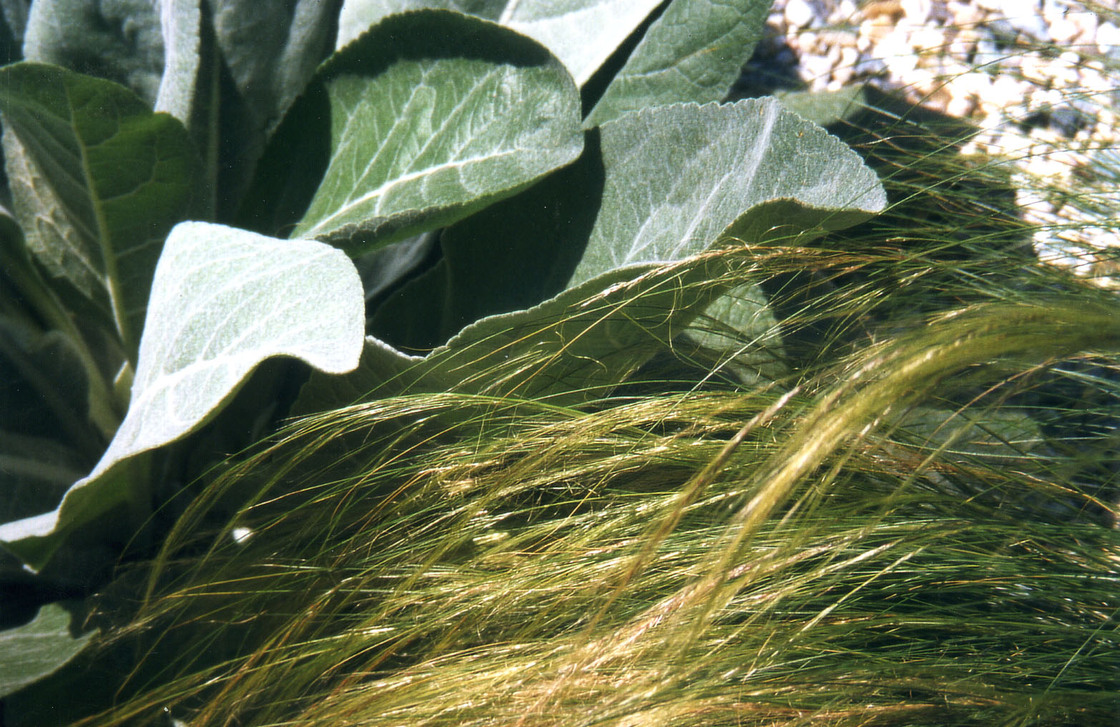 Ein Foto von Barbara Bacher