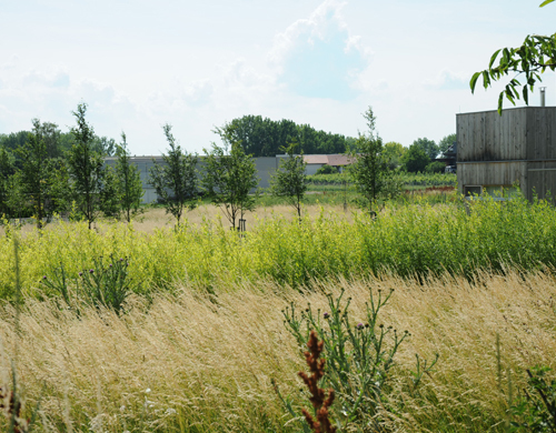 Ein Foto von Gernot Dessovic