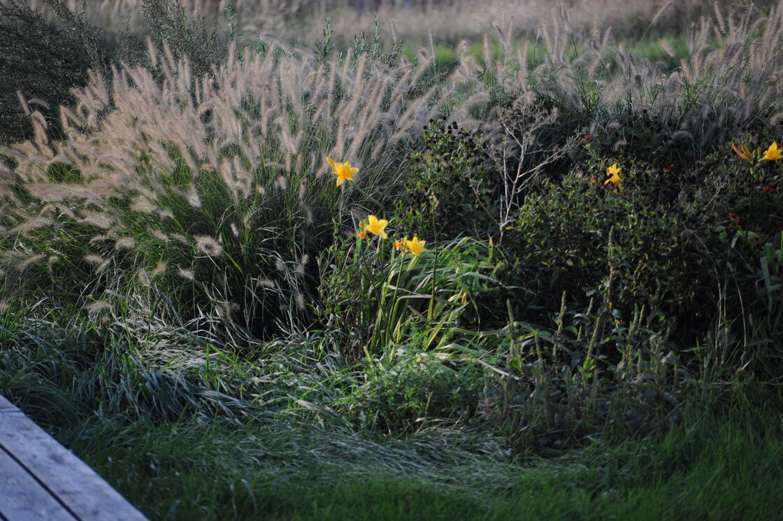 Ein Foto von Gernot Dessovic